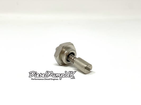 Fuel Pump Locking Tool
